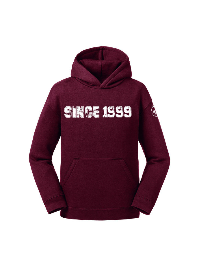 Since 1999 Youth Hoodie