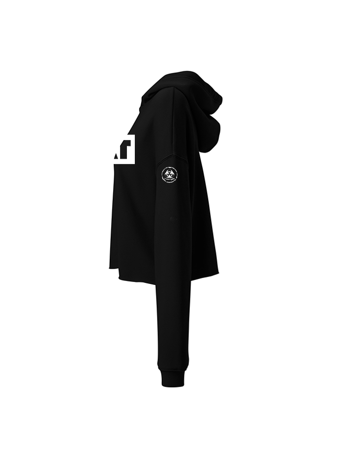 It Is What It Is. Crop Hoodie