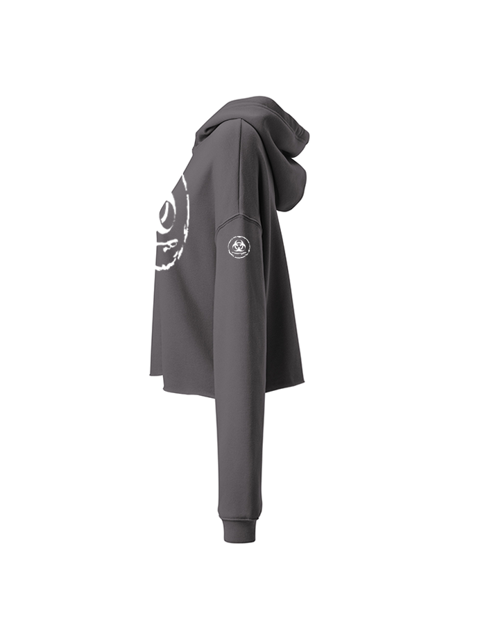 S.P Classic Crop Hoodie
