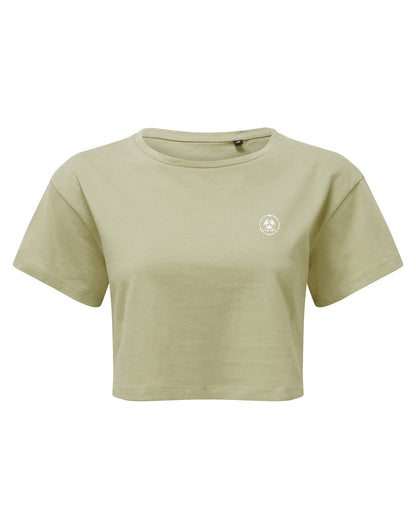 S.P Classic Cropped Tee LE (Spring/Summer25)