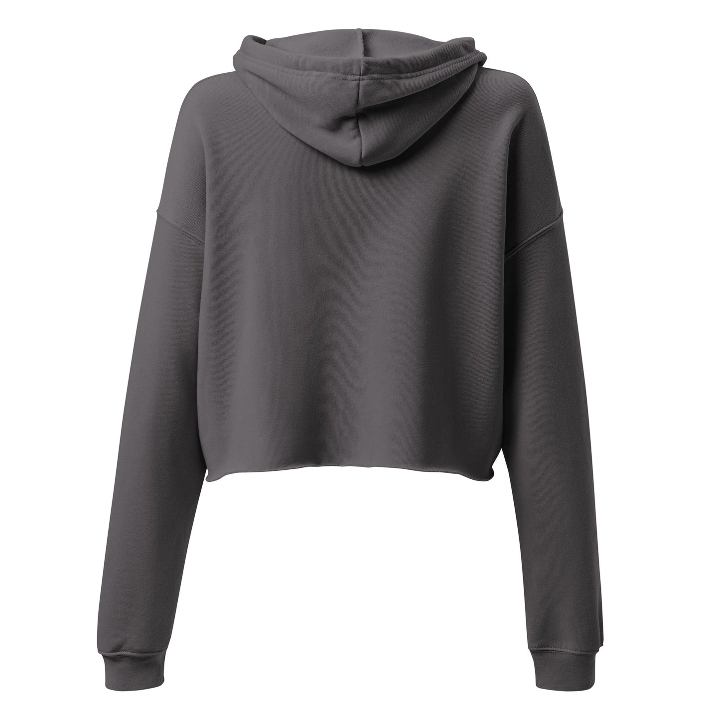 Shogun Flat Map Crop Hoodie